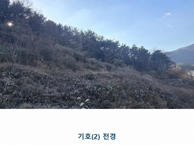 2024타경30511 경상남도 남해군 남해읍 입현리 1433 과수원 경매 이미지