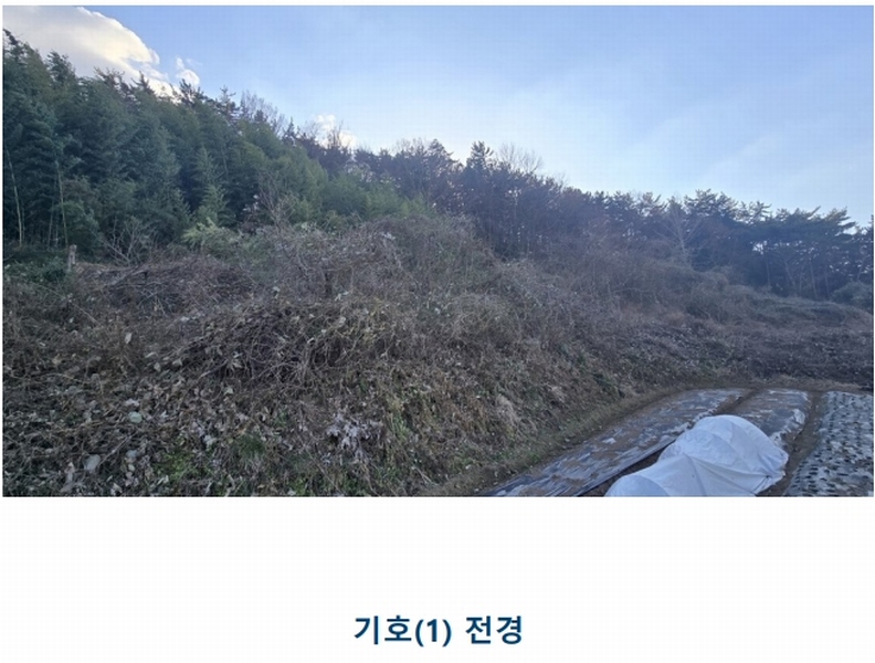 2024타경30511 경상남도 남해군 남해읍 입현리 1433 과수원 경매 이미지