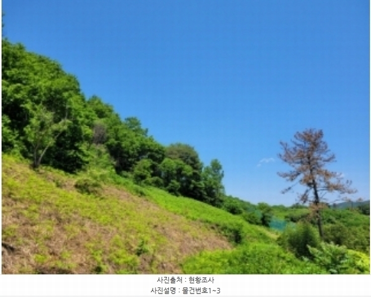 2024타경31057 경상남도 하동군 양보면 통정리 산152-5 임야 경매 이미지