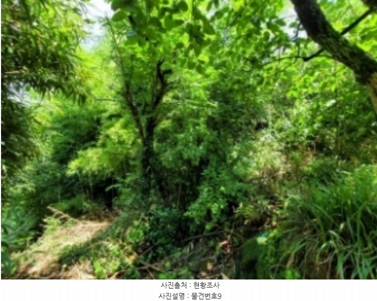 2024타경34827 경상남도 하동군 금남면 계천리 323-1 농지 경매 이미지