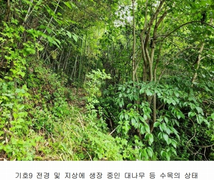 2024타경34827 경상남도 하동군 금남면 계천리 323-1 농지 경매 이미지
