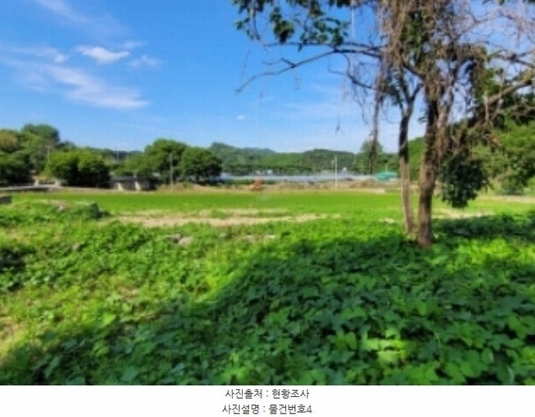 2024타경34933 경상남도 하동군 옥종면 월횡리 86 대지 경매 이미지