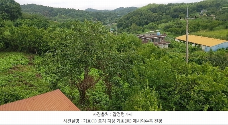 2024타경35509 경상남도 사천시 곤양면 중항리 9-1 농지 경매 이미지
