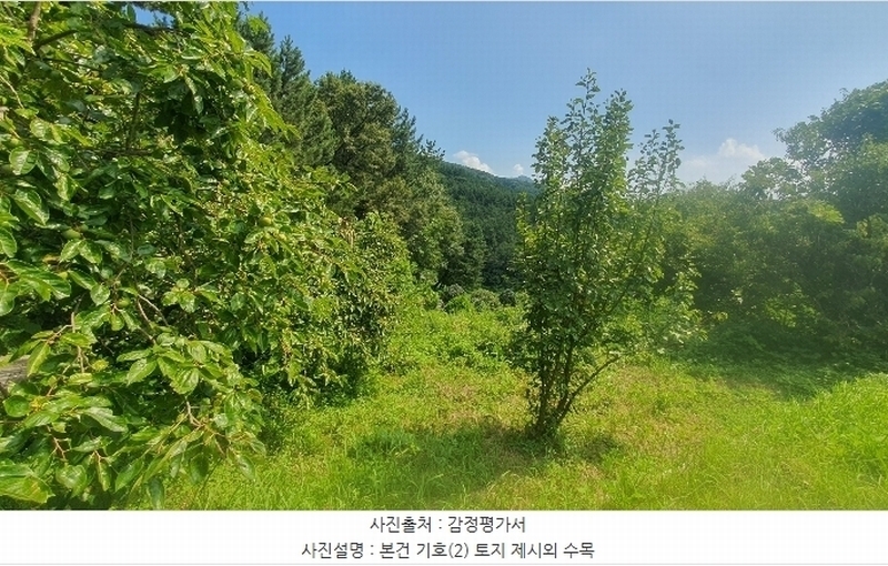 2024타경35714 경상남도 남해군 고현면 갈화리 935-1 농지 경매 이미지