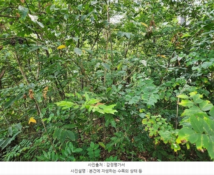 2024타경36205 경상남도 하동군 옥종면 대곡리 614-6 농지 경매 이미지