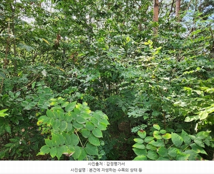 2024타경36205 경상남도 하동군 옥종면 대곡리 614-6 농지 경매 이미지