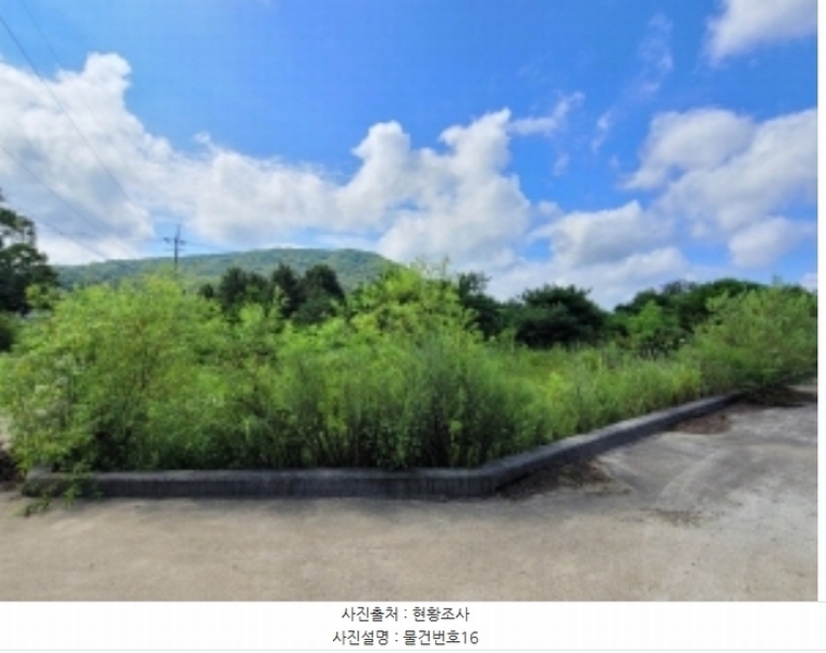 2024타경36359 경상남도 산청군 신안면 안봉리 1191 대지 경매 이미지