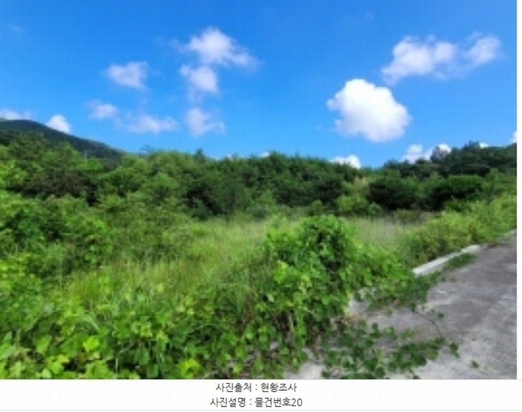 2024타경36359 경상남도 산청군 신안면 안봉리 1191 대지 경매 이미지