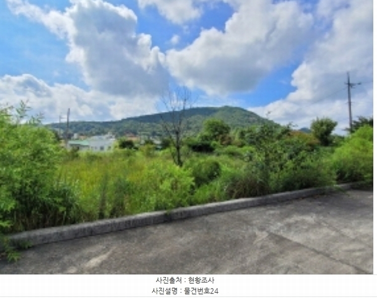 2024타경36359 경상남도 산청군 신안면 안봉리 1191 대지 경매 이미지