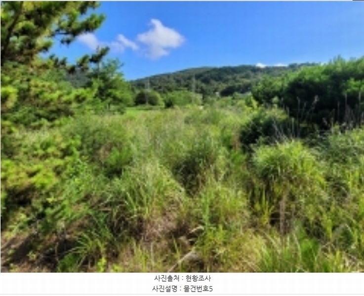 2024타경36359 경상남도 산청군 신안면 안봉리 1191 대지 경매 이미지
