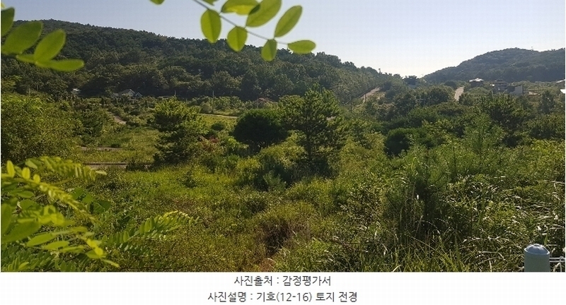 2024타경36359 경상남도 산청군 신안면 안봉리 1191 대지 경매 이미지