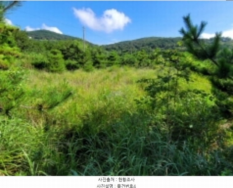 2024타경36359 경상남도 산청군 신안면 안봉리 1191 대지 경매 이미지
