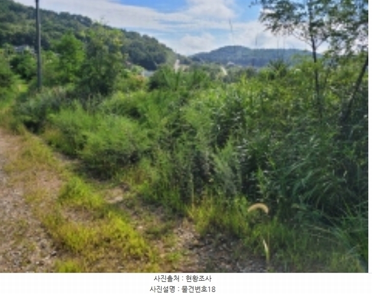 2024타경36359 경상남도 산청군 신안면 안봉리 1191 대지 경매 이미지