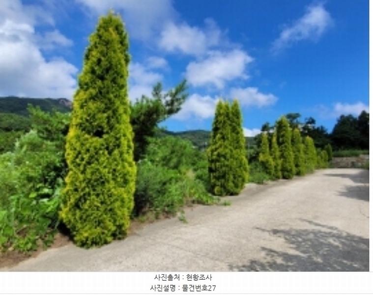 2024타경36359 경상남도 산청군 신안면 안봉리 1191 대지 경매 이미지