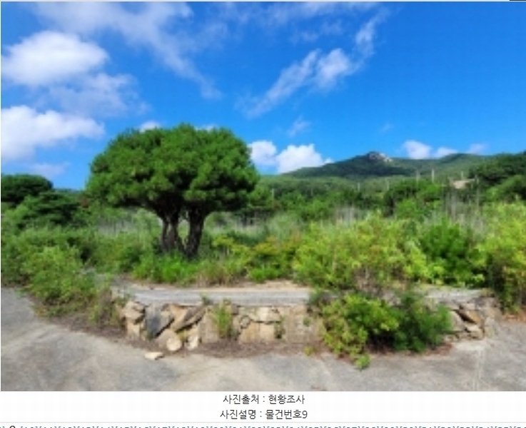 2024타경36359 경상남도 산청군 신안면 안봉리 1191 대지 경매 이미지