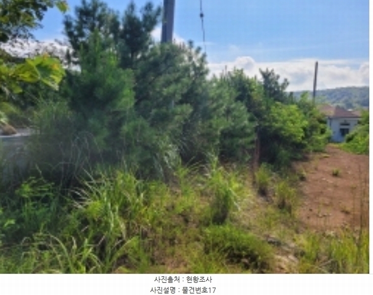 2024타경36359 경상남도 산청군 신안면 안봉리 1191 대지 경매 이미지