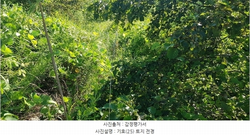 2024타경36359 경상남도 산청군 신안면 안봉리 1191 대지 경매 이미지