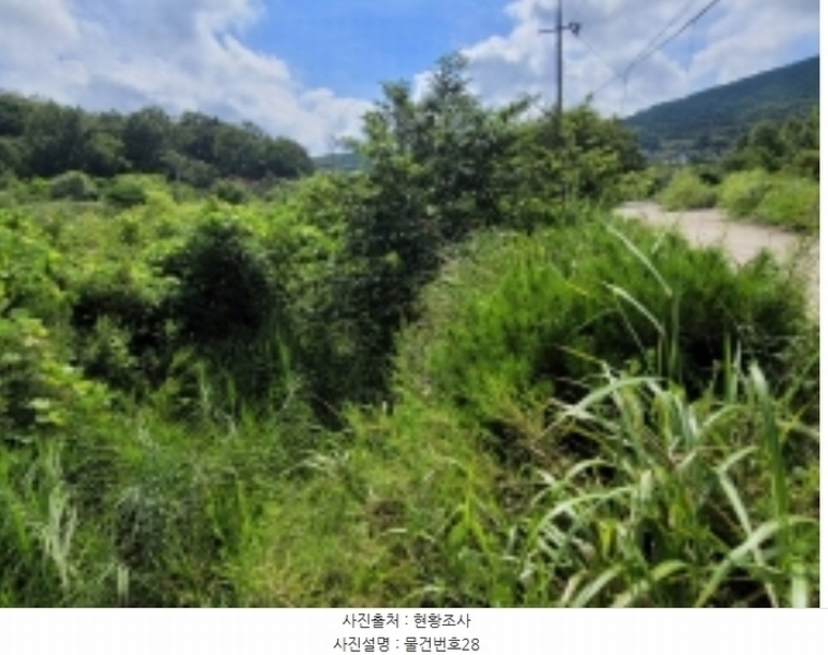 2024타경36359 경상남도 산청군 신안면 안봉리 1191 대지 경매 이미지