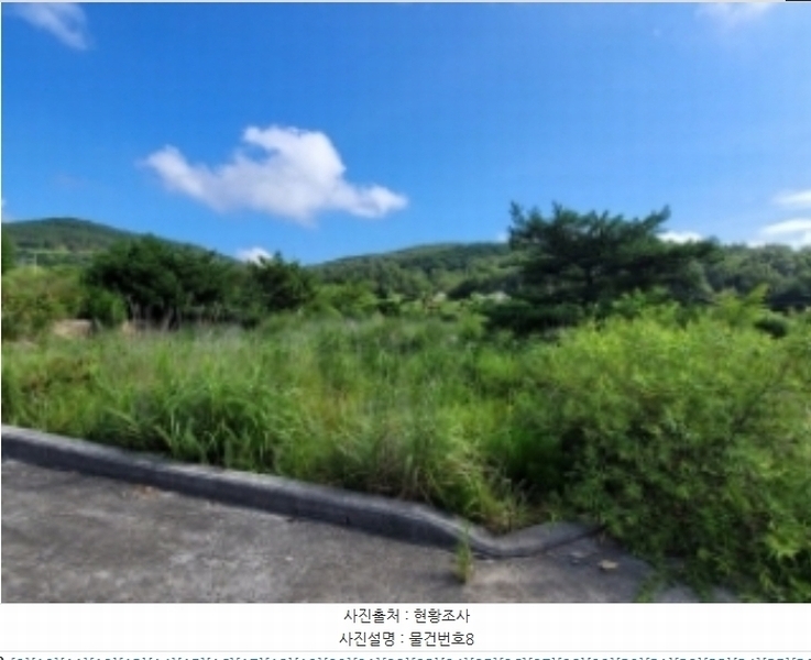 2024타경36359 경상남도 산청군 신안면 안봉리 1191 대지 경매 이미지