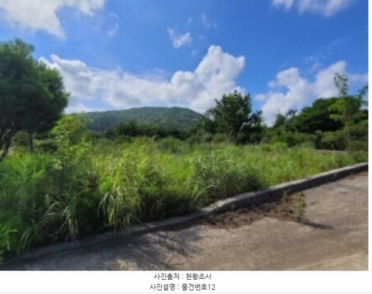 2024타경36359 경상남도 산청군 신안면 안봉리 1191 대지 경매 이미지