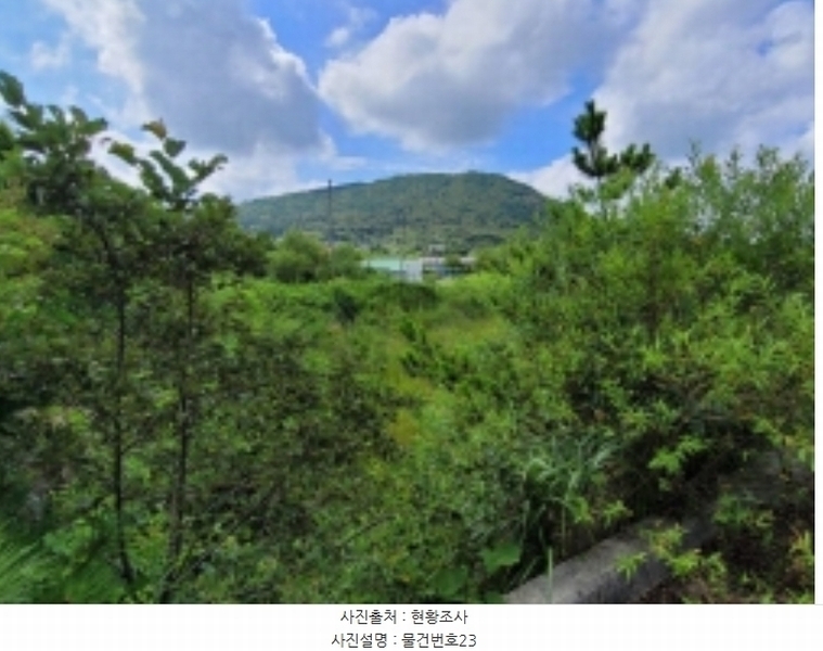 2024타경36359 경상남도 산청군 신안면 안봉리 1191 대지 경매 이미지