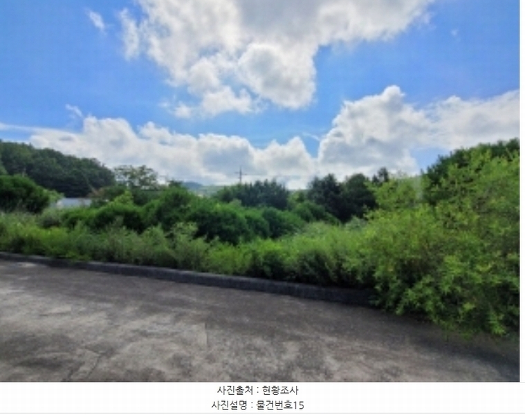 2024타경36359 경상남도 산청군 신안면 안봉리 1191 대지 경매 이미지