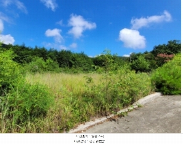 2024타경36359 경상남도 산청군 신안면 안봉리 1191 대지 경매 이미지