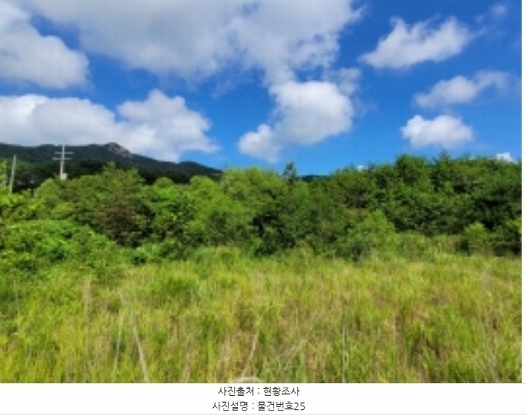 2024타경36359 경상남도 산청군 신안면 안봉리 1191 대지 경매 이미지