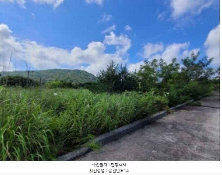 2024타경36359 경상남도 산청군 신안면 안봉리 1191 대지 경매 이미지