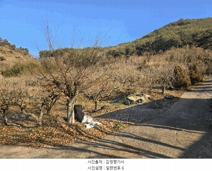 2024타경39839 경상남도 사천시 사천읍 장전리 산91 임야 경매 이미지