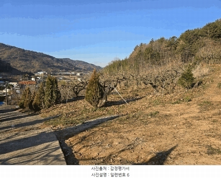 2024타경39839 경상남도 사천시 사천읍 장전리 산91 임야 경매 이미지
