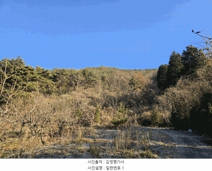 2024타경39839 경상남도 사천시 사천읍 장전리 산91 임야 경매 이미지