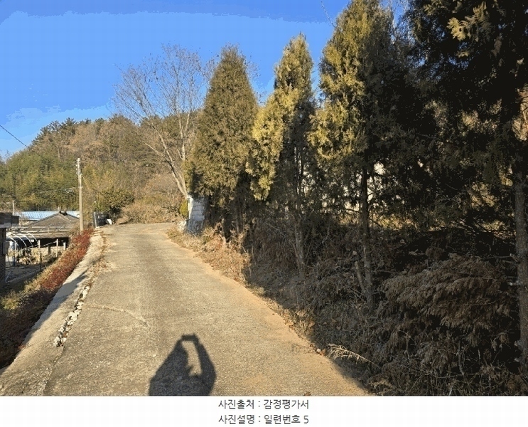 2024타경39839 경상남도 사천시 사천읍 장전리 산91 임야 경매 이미지