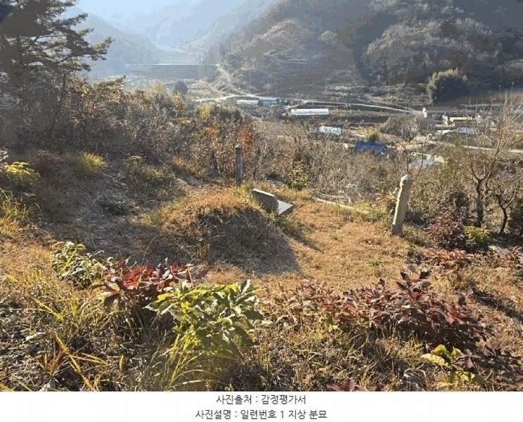 2024타경39839 경상남도 사천시 사천읍 장전리 산91 임야 경매 이미지
