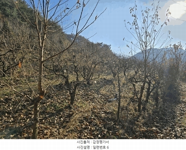 2024타경39839 경상남도 사천시 사천읍 장전리 산91 임야 경매 이미지