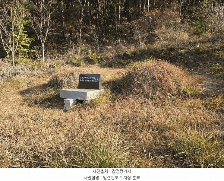 2024타경39839 경상남도 사천시 사천읍 장전리 산91 임야 경매 이미지