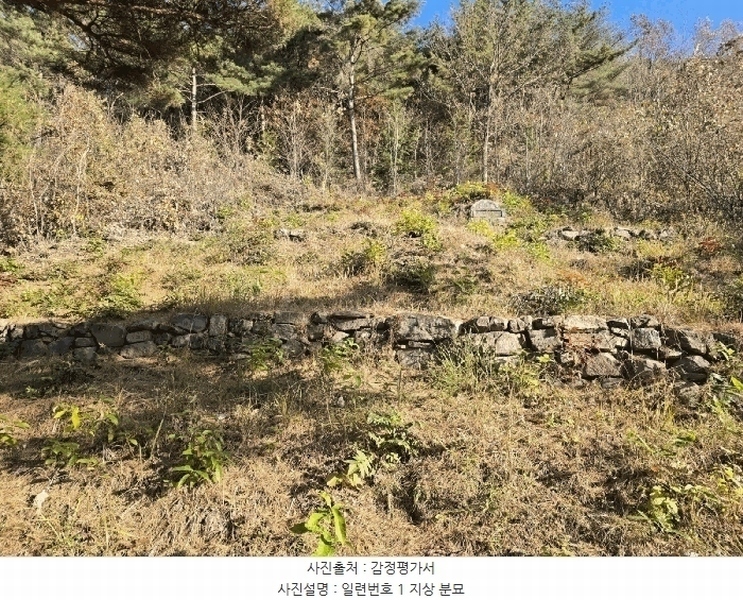 2024타경39839 경상남도 사천시 사천읍 장전리 산91 임야 경매 이미지