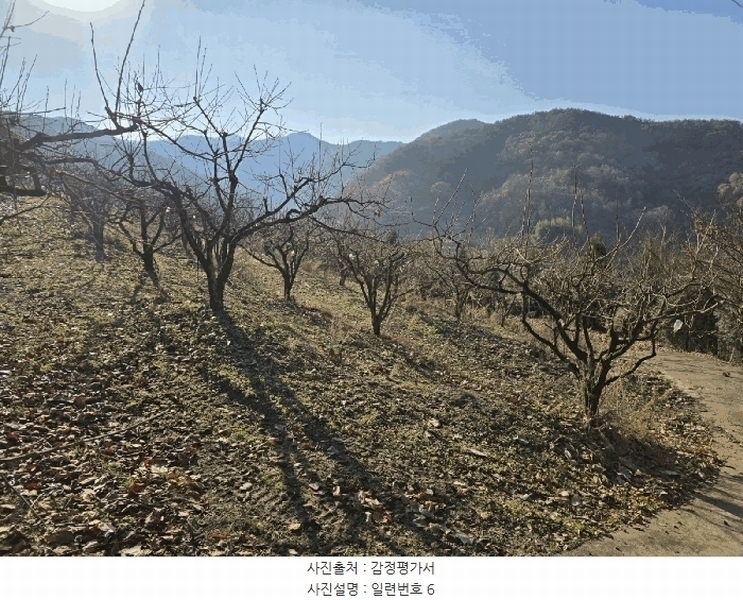 2024타경39839 경상남도 사천시 사천읍 장전리 산91 임야 경매 이미지