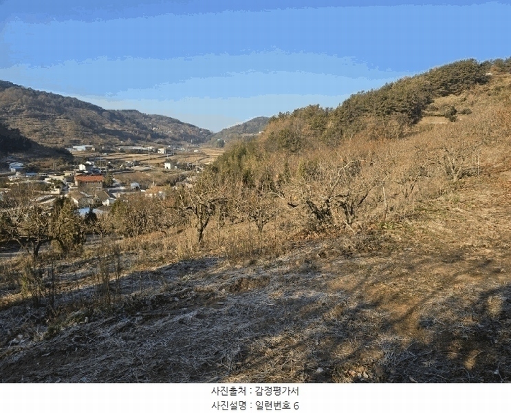 2024타경39839 경상남도 사천시 사천읍 장전리 산91 임야 경매 이미지