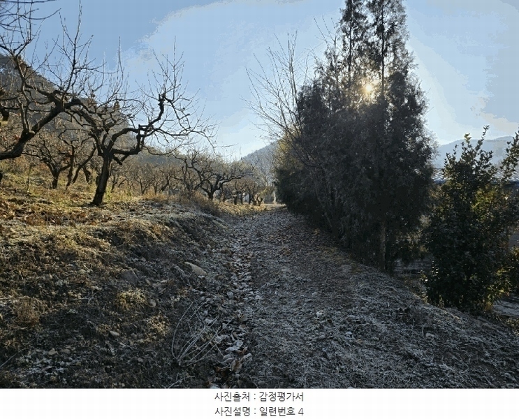 2024타경39839 경상남도 사천시 사천읍 장전리 산91 임야 경매 이미지