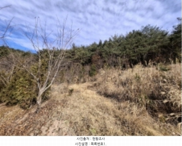 2024타경39839 경상남도 사천시 사천읍 장전리 산91 임야 경매 이미지