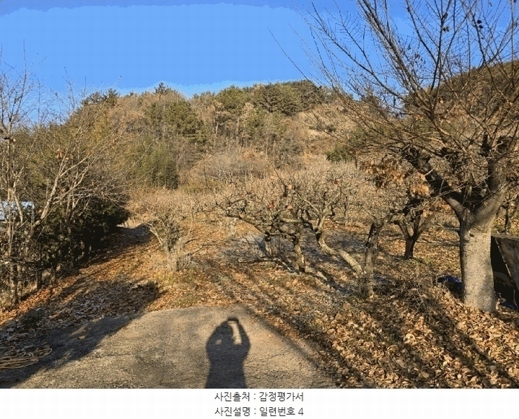 2024타경39839 경상남도 사천시 사천읍 장전리 산91 임야 경매 이미지