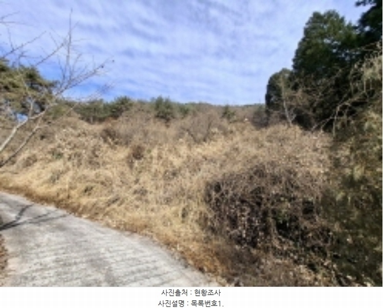 2024타경39839 경상남도 사천시 사천읍 장전리 산91 임야 경매 이미지