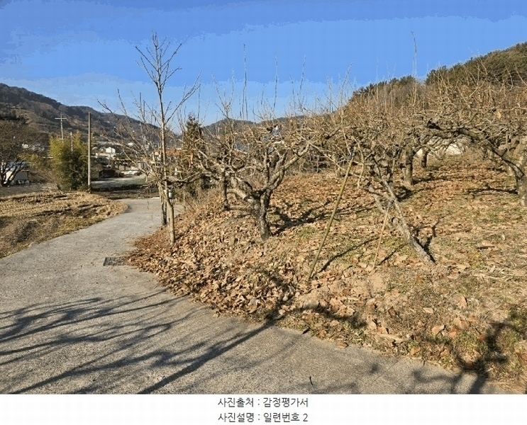 2024타경39839 경상남도 사천시 사천읍 장전리 산91 임야 경매 이미지