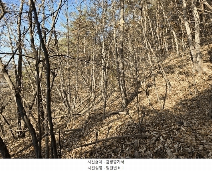2024타경39839 경상남도 사천시 사천읍 장전리 산91 임야 경매 이미지