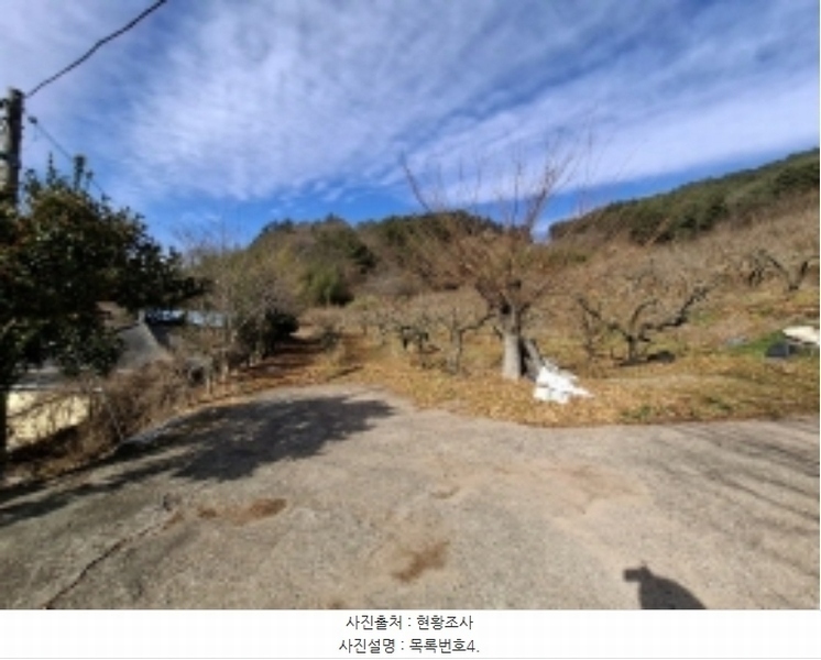 2024타경39839 경상남도 사천시 사천읍 장전리 산91 임야 경매 이미지