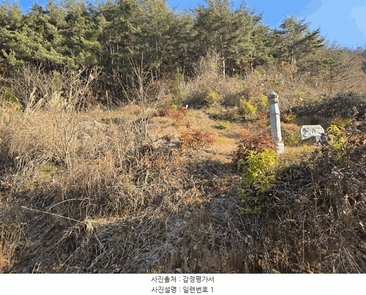 2024타경39839 경상남도 사천시 사천읍 장전리 산91 임야 경매 이미지