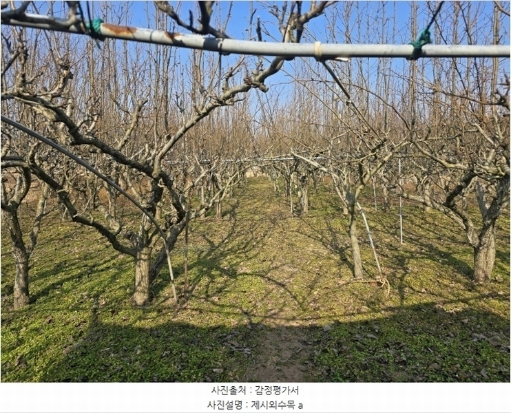 2025타경159 경상남도 사천시 사천읍 두량리 1486 농지 경매 이미지