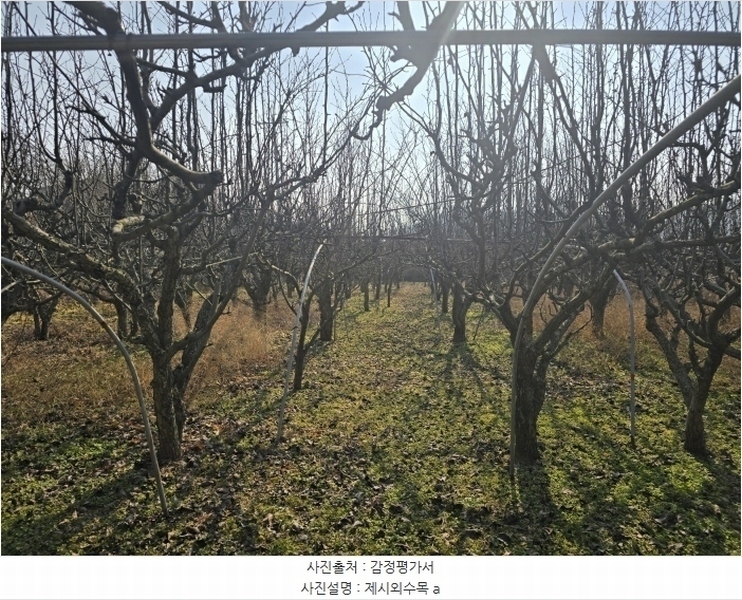 2025타경159 경상남도 사천시 사천읍 두량리 1486 농지 경매 이미지