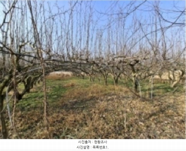 2025타경159 경상남도 사천시 사천읍 두량리 1486 농지 경매 이미지